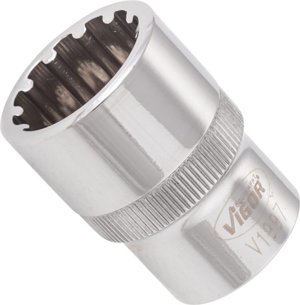 Socket - V1997 VIGOR