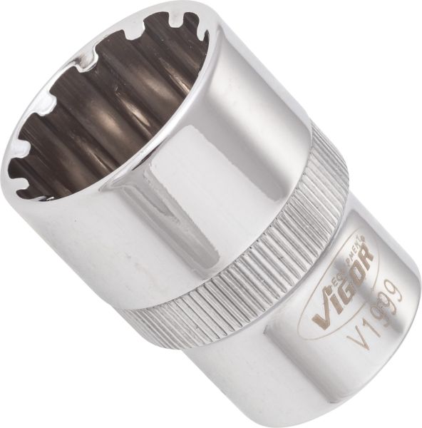 Socket - V1999 VIGOR