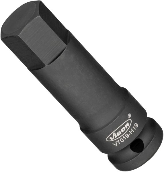 Power Socket - V7019-H19 VIGOR