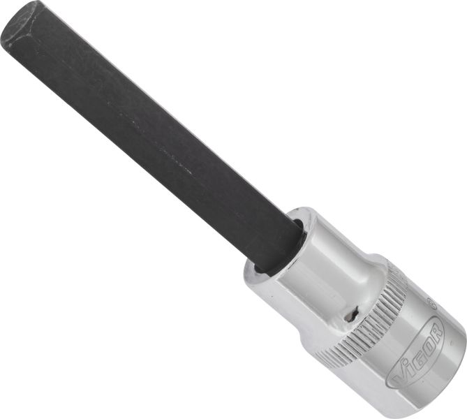 Socket - V2076 VIGOR