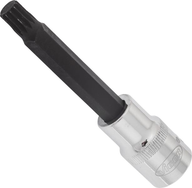 Socket - V2113 VIGOR