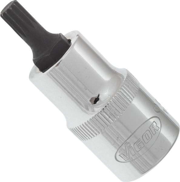 Socket - V2095 VIGOR