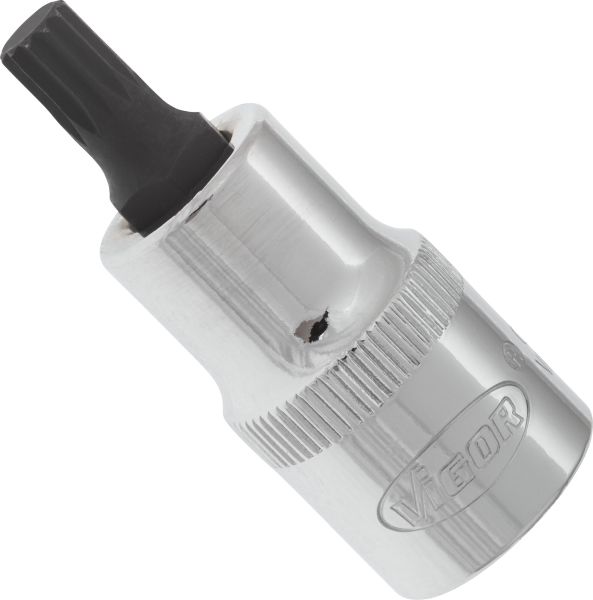 Socket - V2096 VIGOR