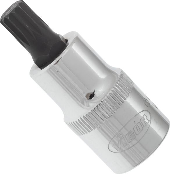 Socket - V2097 VIGOR