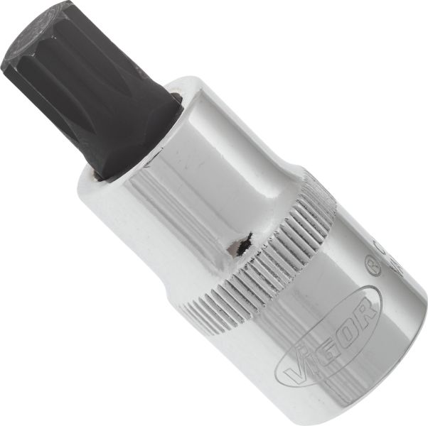 Socket - V2099 VIGOR