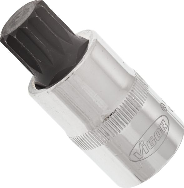 Socket - V2100 VIGOR