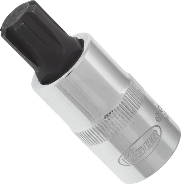Socket - V2209 VIGOR