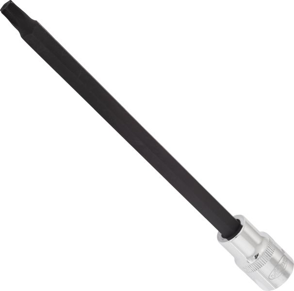 Socket - V2180 VIGOR