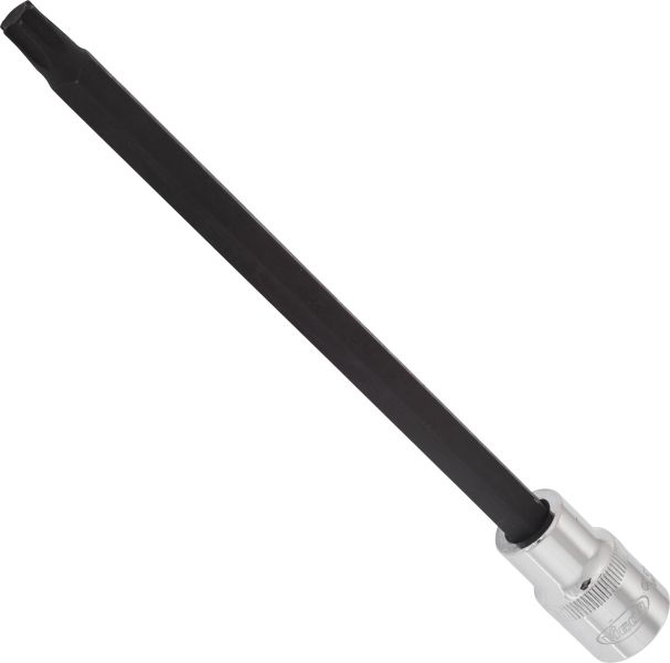 Socket - V2181 VIGOR