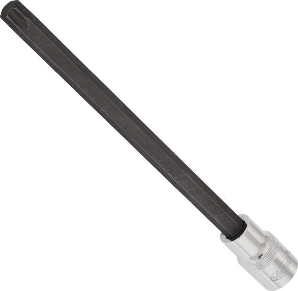 Socket - V2182 VIGOR
