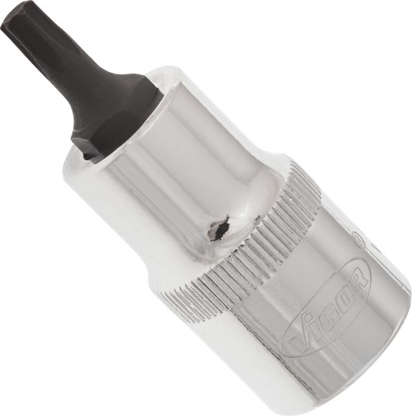 Socket - V2153 VIGOR