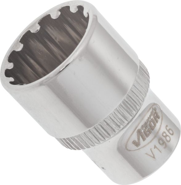 Socket - V1986 VIGOR