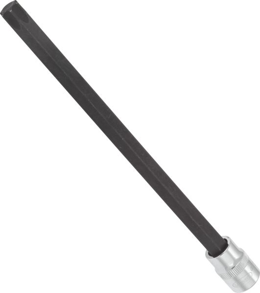 Socket - V6103 VIGOR