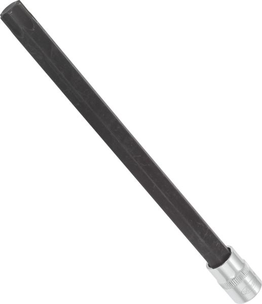 Socket - V6104 VIGOR