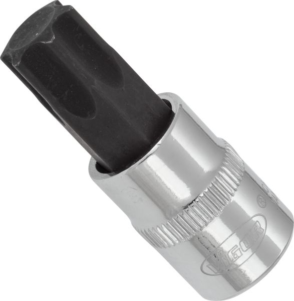 Socket - V6082 VIGOR