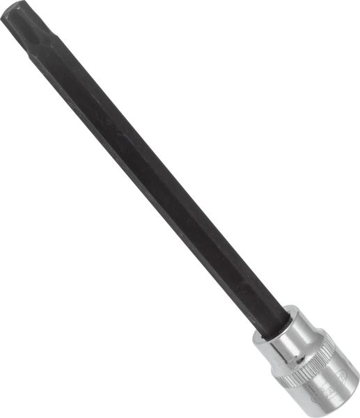 Socket - V6095 VIGOR