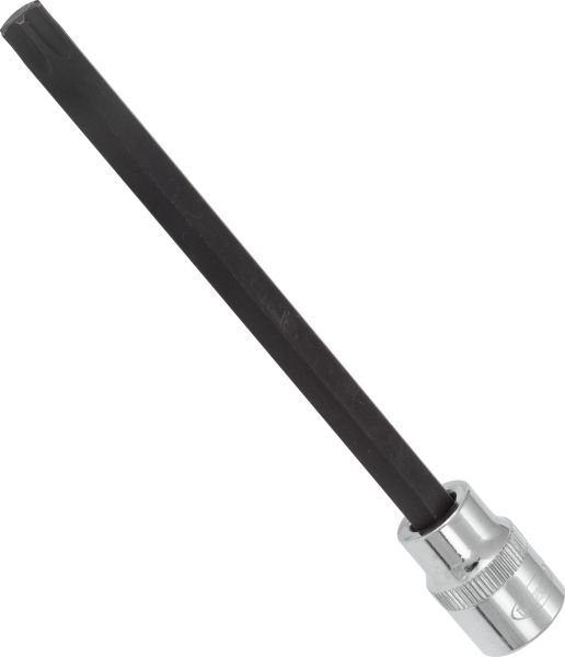 Socket - V6096 VIGOR