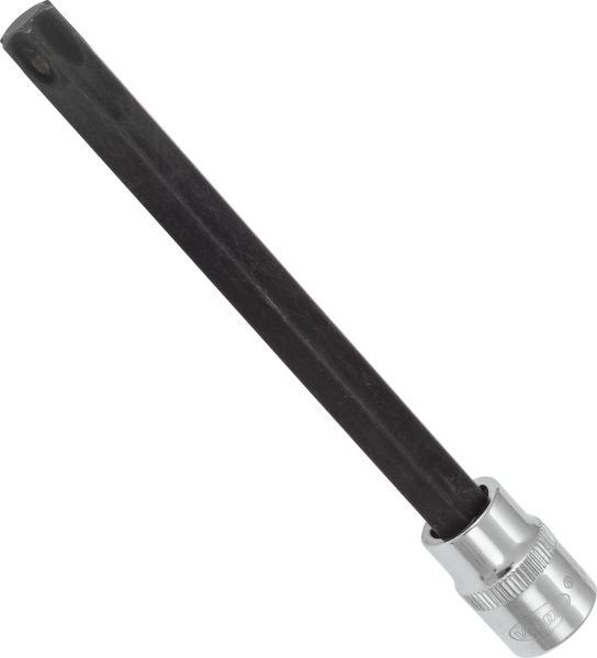 Socket - V6097 VIGOR