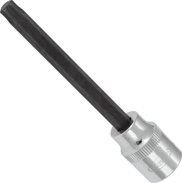 Socket - V6088 VIGOR