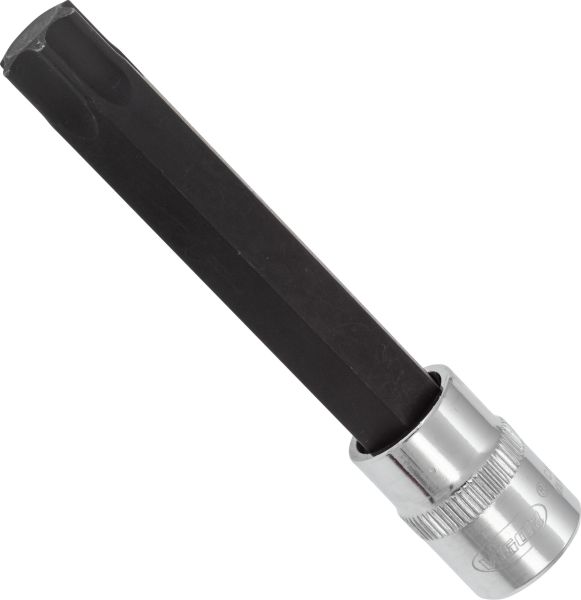 Socket - V6092 VIGOR