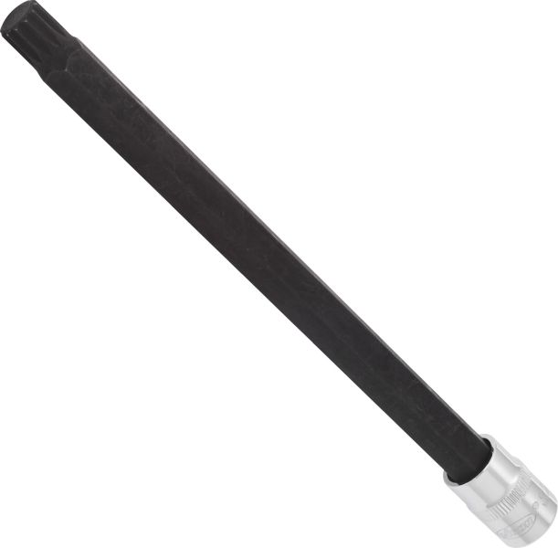 Socket - V6130 VIGOR