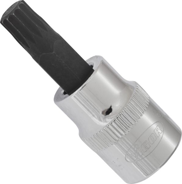 Socket - V6108 VIGOR