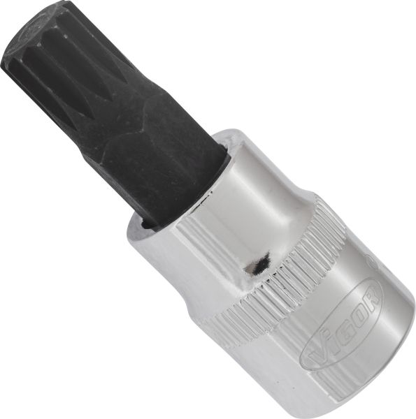 Socket - V6110 VIGOR