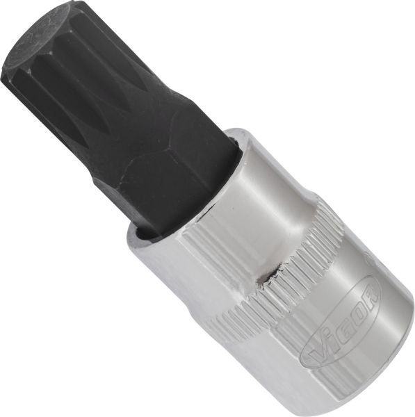 Socket - V6111 VIGOR
