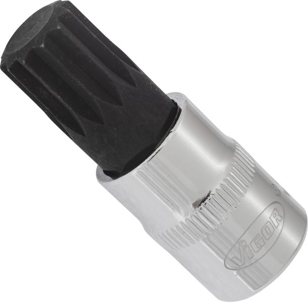 Socket - V6112 VIGOR