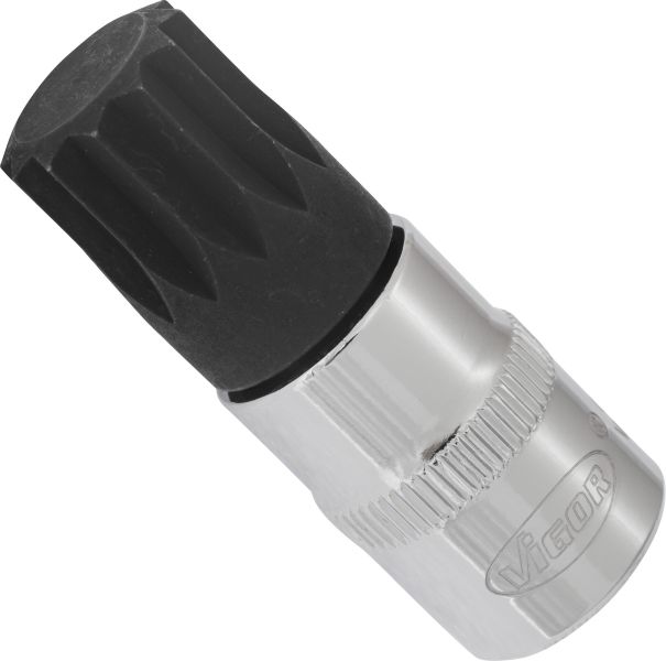 Socket - V6113 VIGOR