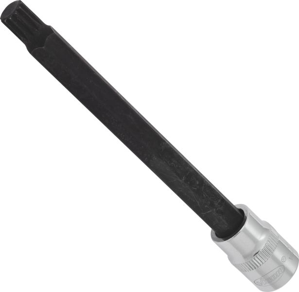 Socket - V6124 VIGOR