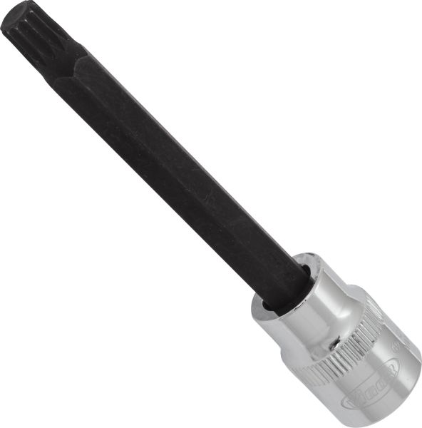 Socket - V6116 VIGOR