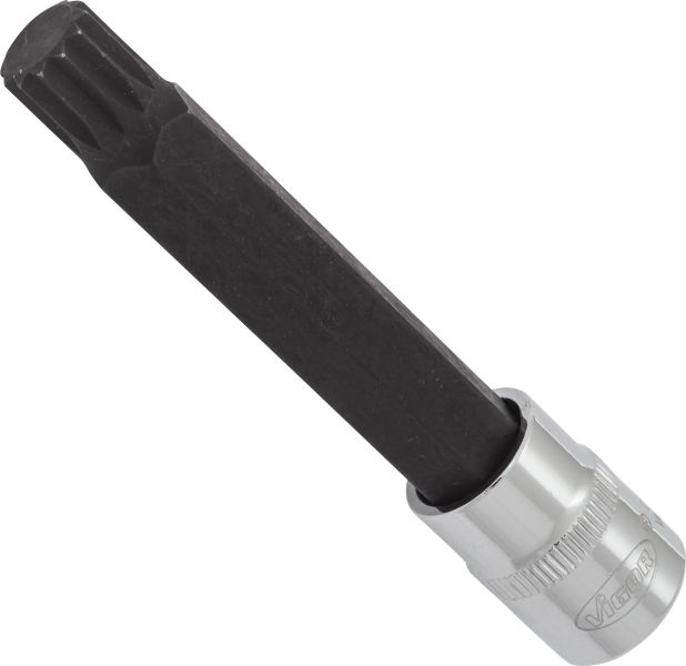Socket - V6119 VIGOR