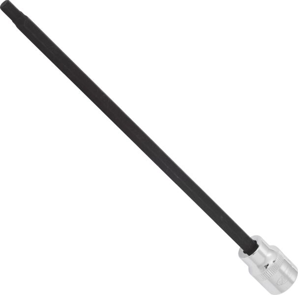Socket - V6156 VIGOR