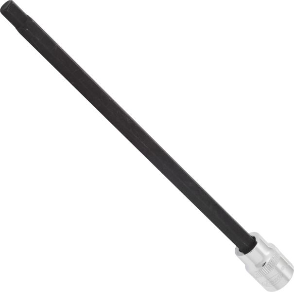 Socket - V6158 VIGOR