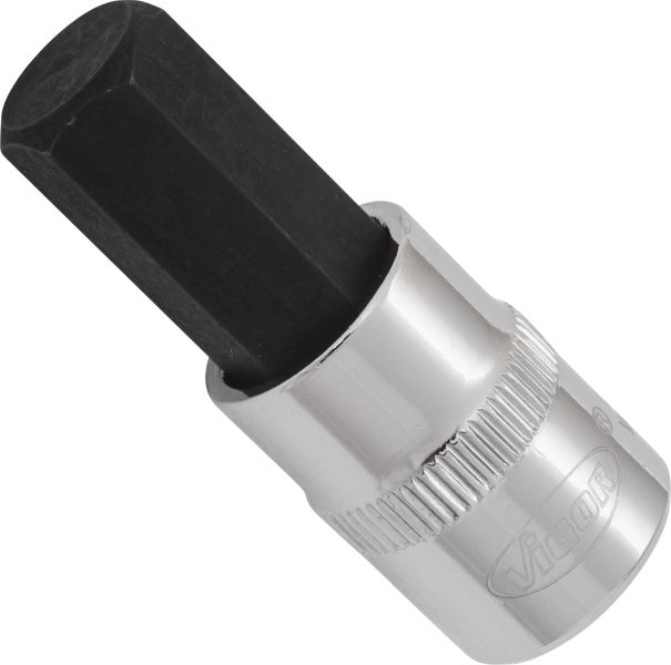 Socket - V6137 VIGOR