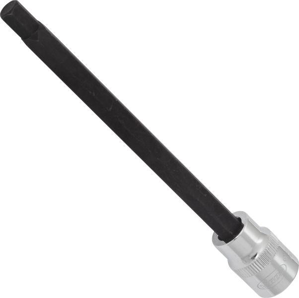 Socket - V6151 VIGOR