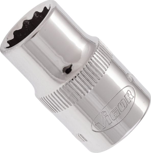 Socket - V7538-10 VIGOR