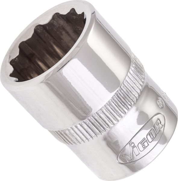 Socket - V7538-15 VIGOR