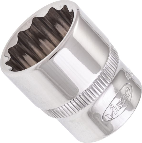 Socket - V7538-19 VIGOR