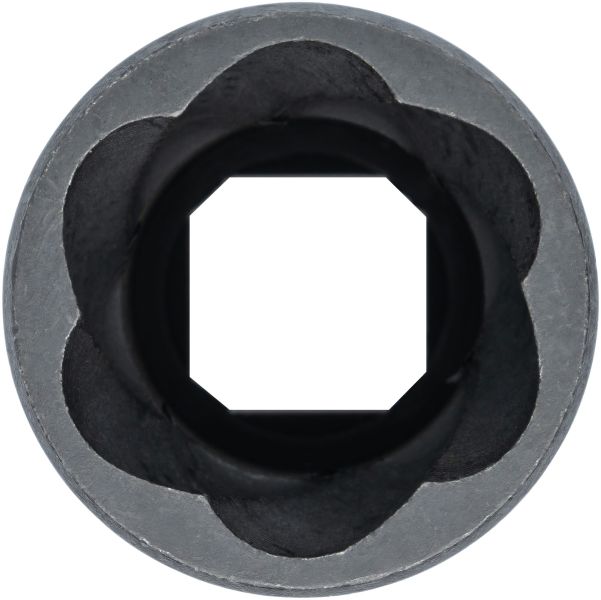 Serie di bussole - V3743 VIGOR
