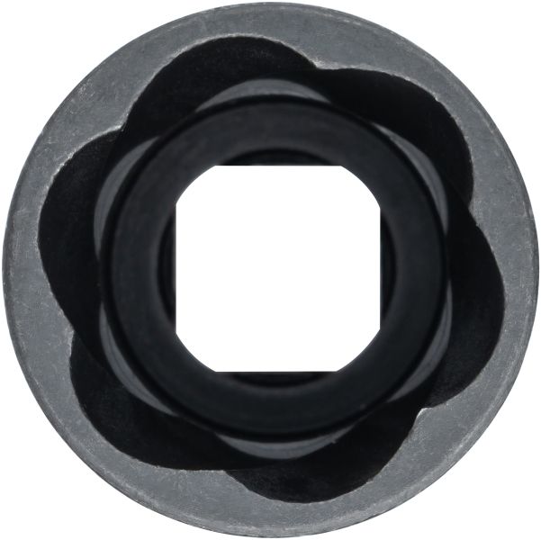 Serie di bussole - V3744 VIGOR