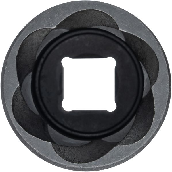 Socket - V3746 VIGOR