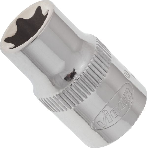 Socket - V2144N VIGOR