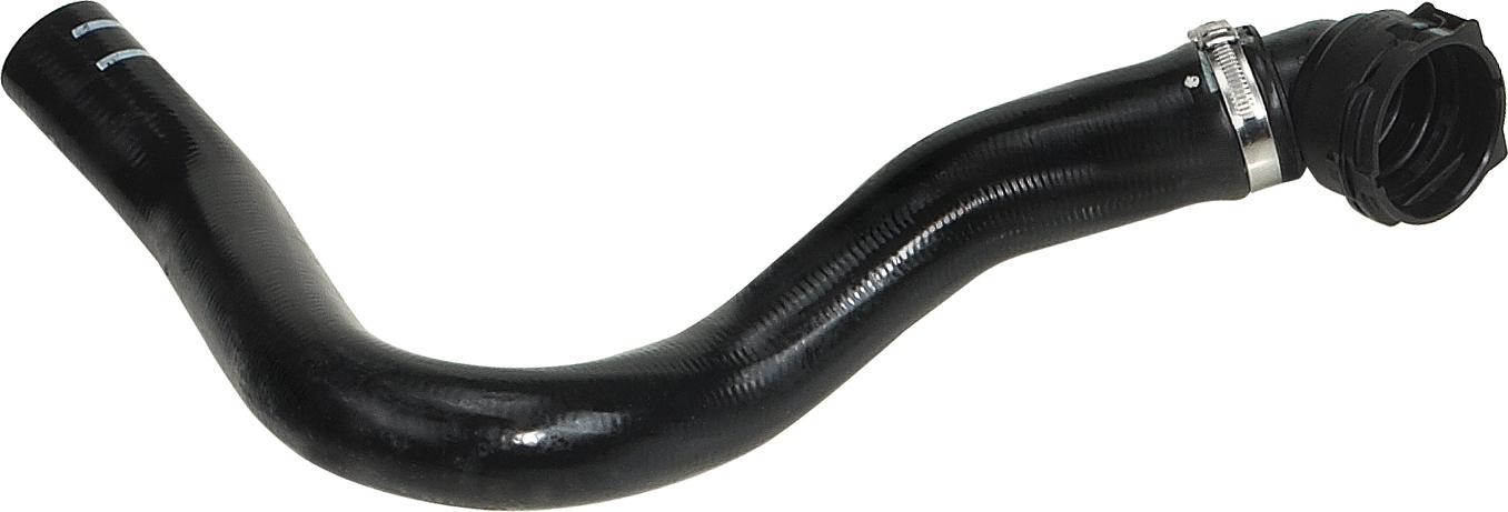 Radiator Hose - R11363 RAPRO