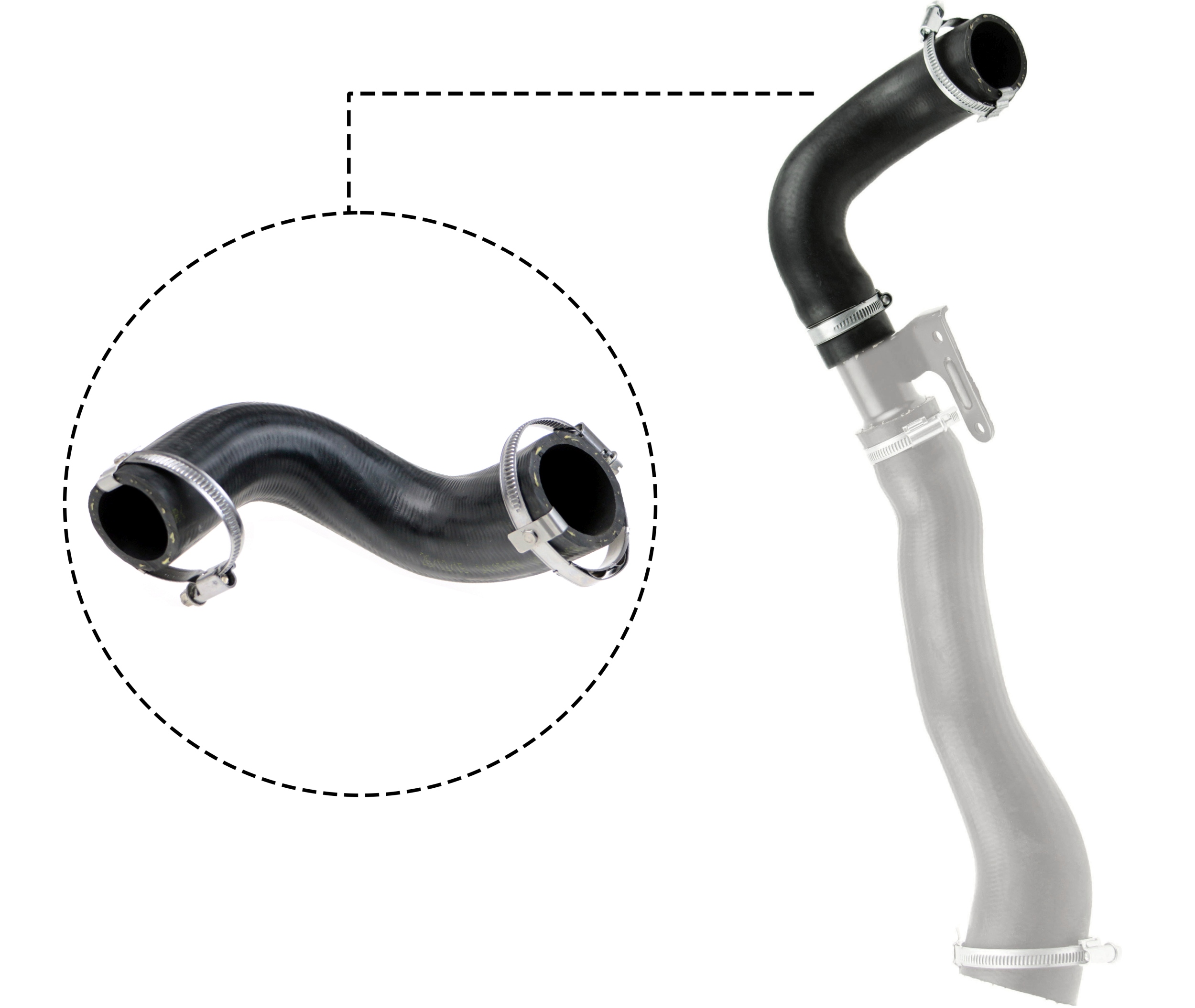 Charger Air Hose - R16307 RAPRO