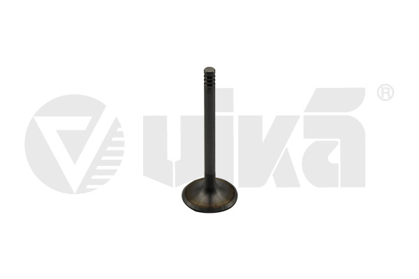Inlet Valve - 11090176601 vika