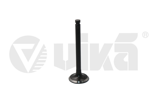 Inlet Valve - 11090177001 vika