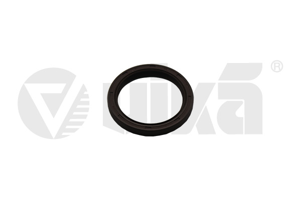 Paraolio, Cambio manuale - 13210165101 vika