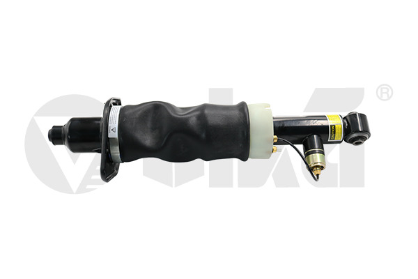 Air Spring Strut - 66160001101 vika